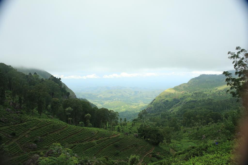 Orient Hotel Bandarawela Dış mekan fotoğraf