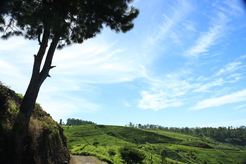 Orient Hotel Bandarawela Dış mekan fotoğraf